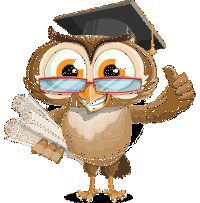 Professor Hootsworth